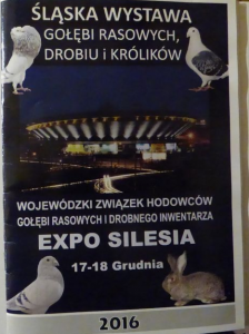 expo-silesia