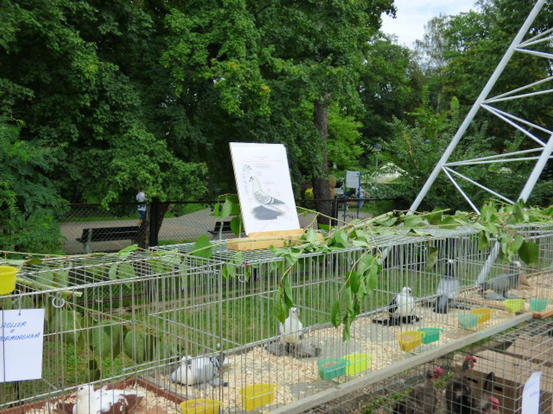 USTROŃSKIE DOŻYNKI 18.08.2019